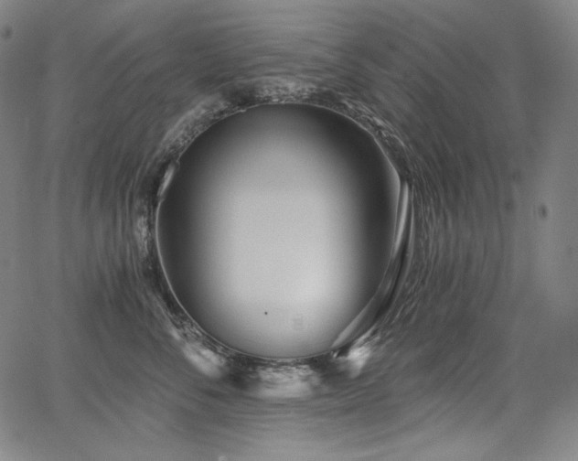 X0000068260716200604211044