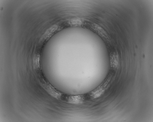 X0000068260717200604211044