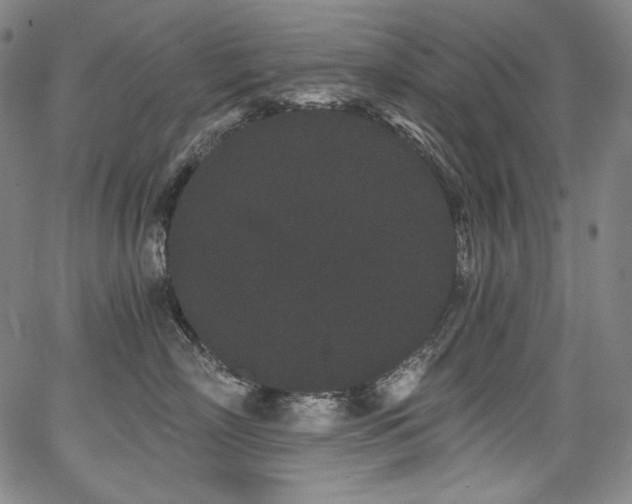 X0000068260718200604211044