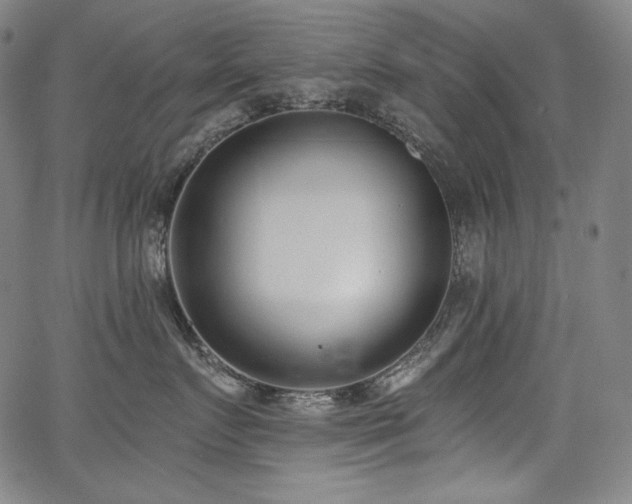 X0000068260719200604211044