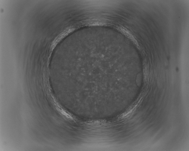 X0000068260721200604211044