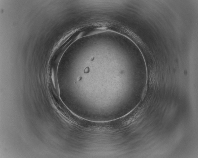 X0000068260722200604211044