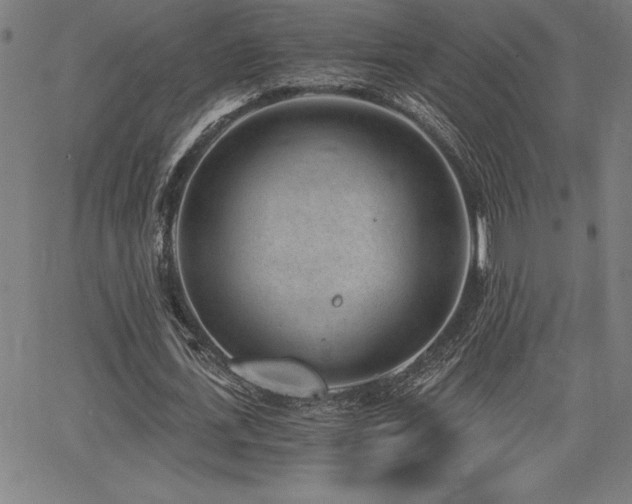 X0000068260723200604211044