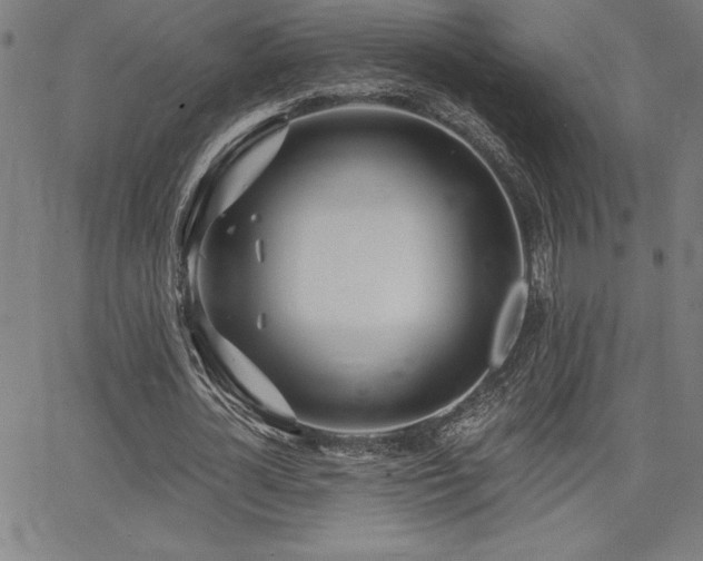 X0000068260724200604211044