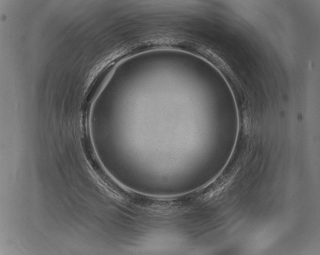 X0000068260725200604211044