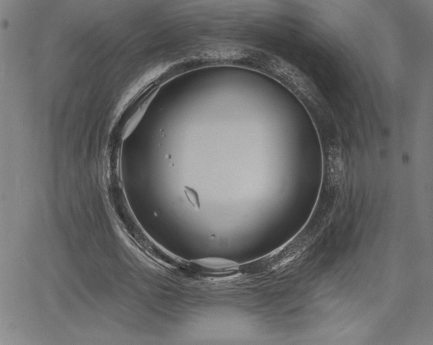 X0000068260726200604211044