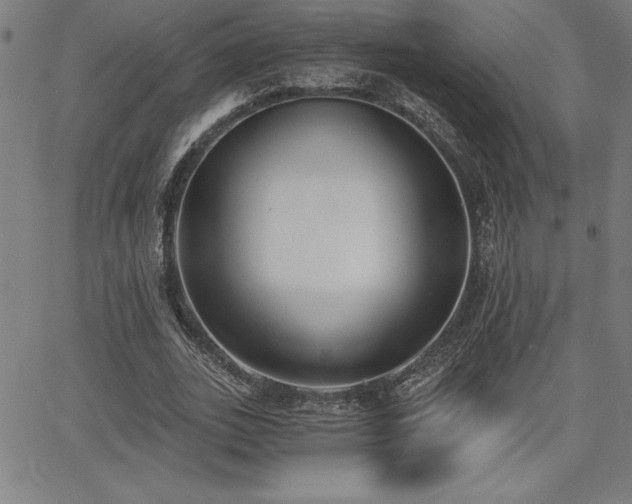 X0000068260727200604211044