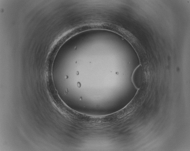 X0000068260728200604211044