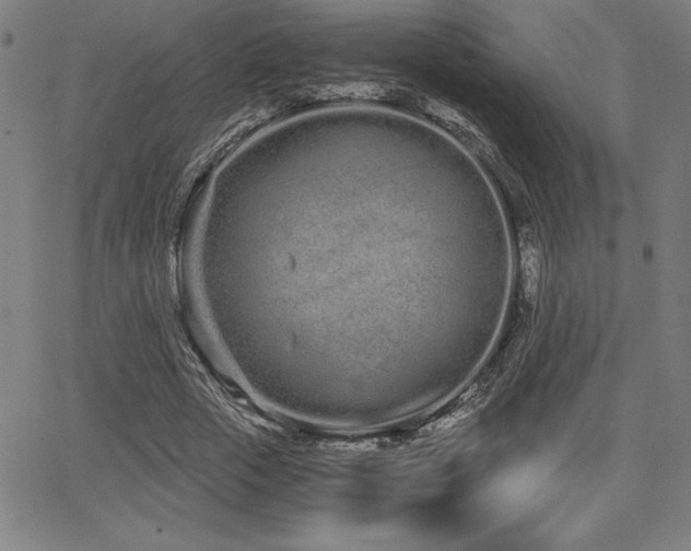 X0000068260729200604211044