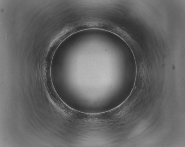 X0000068260730200604211044