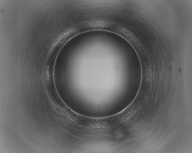 X0000068260731200604211044