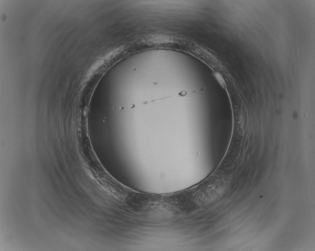 X0000068260732200604211044