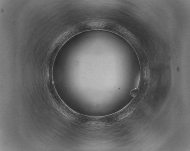 X0000068260733200604211044