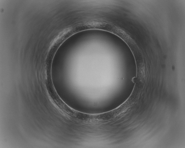 X0000068260734200604211044