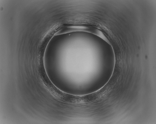 X0000068260735200604211044