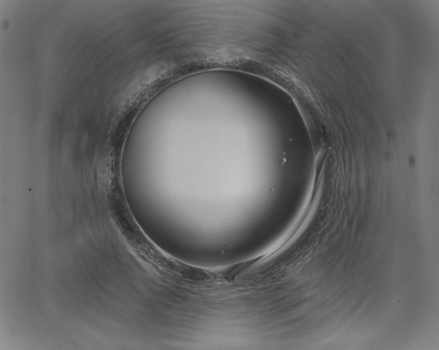 X0000068260736200604211044