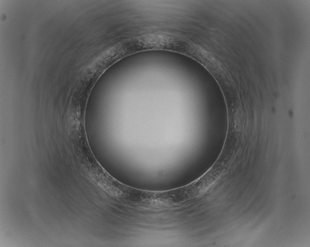 X0000068260737200604211044