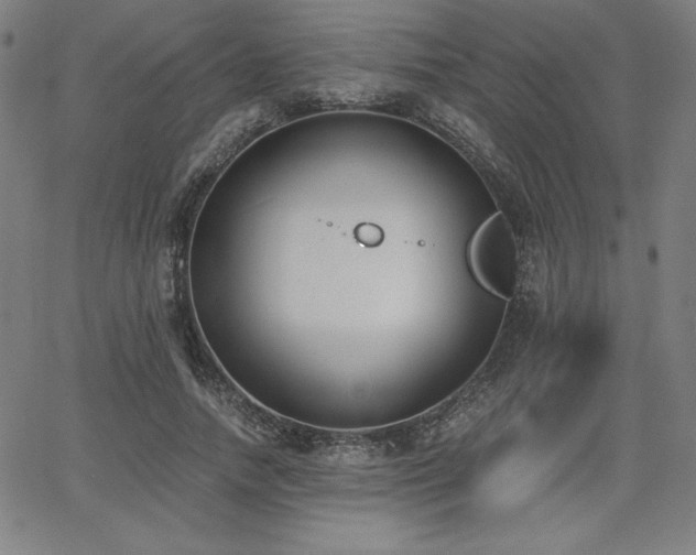 X0000068260738200604211044