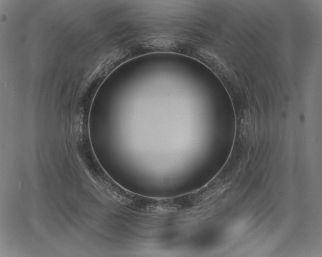 X0000068260739200604211044