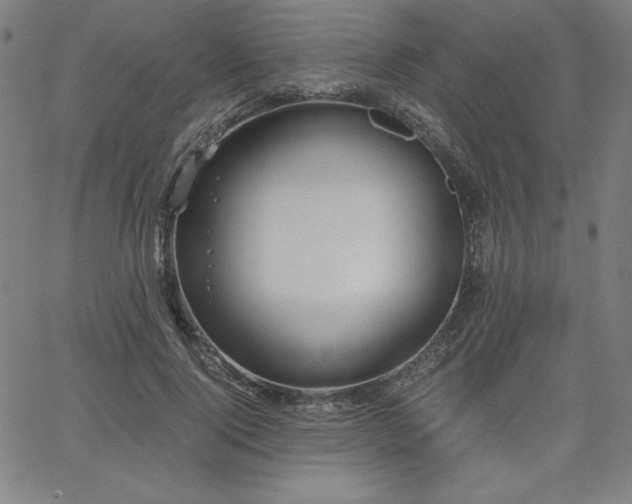 X0000068260740200604211044