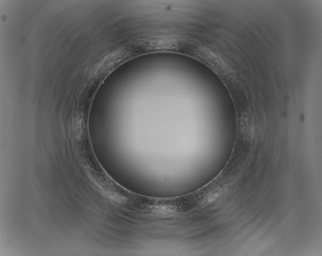 X0000068260741200604211044