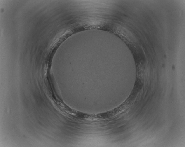 X0000068260742200604211044