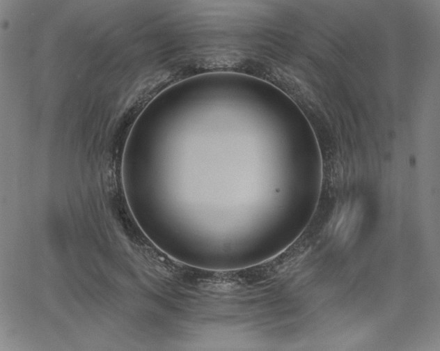 X0000068260743200604211044