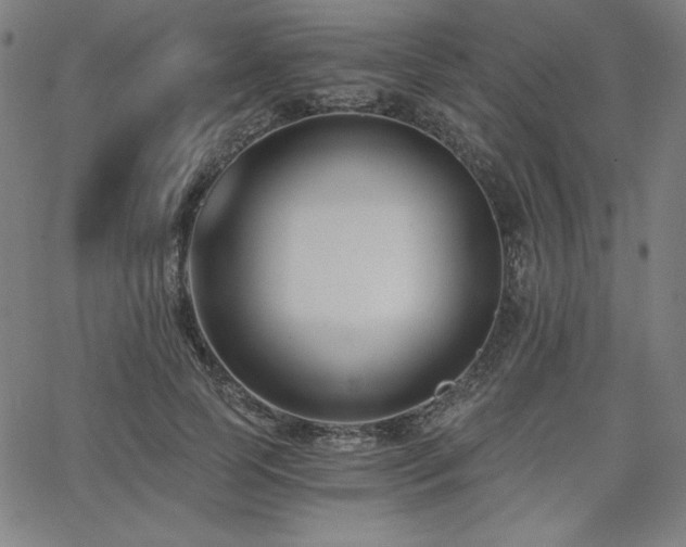 X0000068260745200604211044