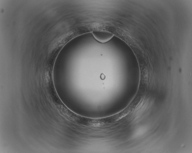 X0000068260746200604211044