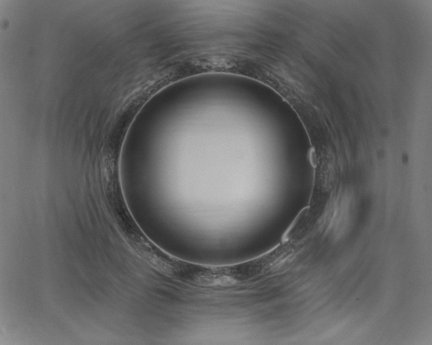 X0000068260747200604211044