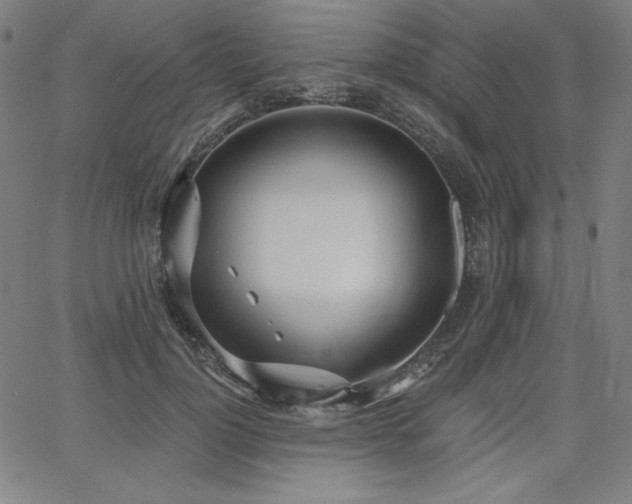 X0000068260748200604211044