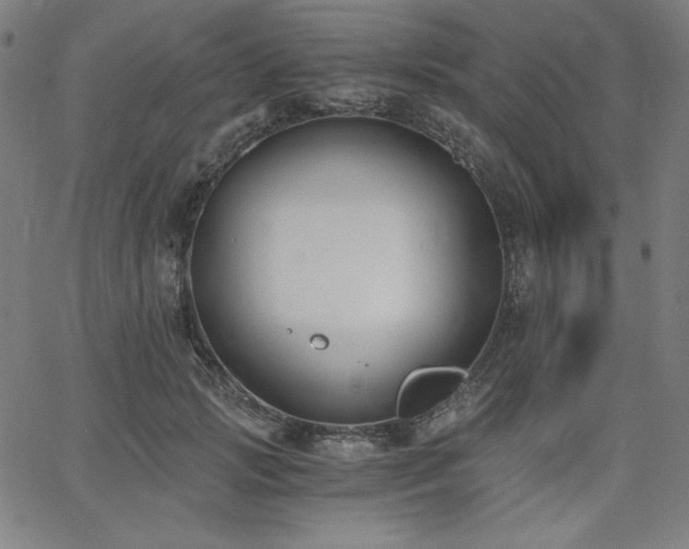 X0000068260749200604211044