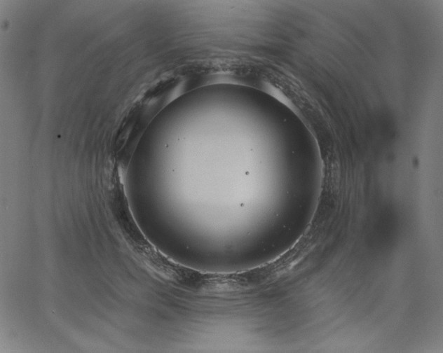 X0000068260750200604211044