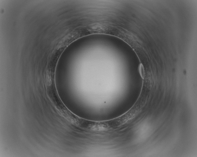 X0000068260751200604211044