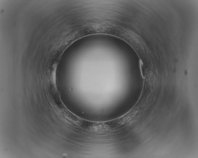 X0000068260752200604211044