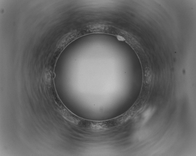 X0000068260753200604211044