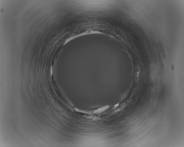 X0000068260754200604211044