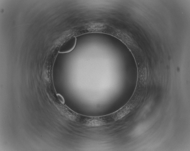 X0000068260755200604211044