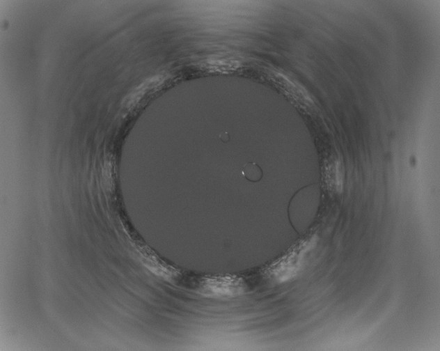 X0000068260757200604211044