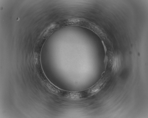 X0000068260758200604211044