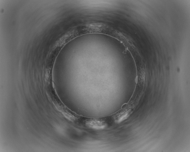 X0000068260759200604211044