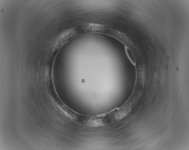 X0000068260760200604211044