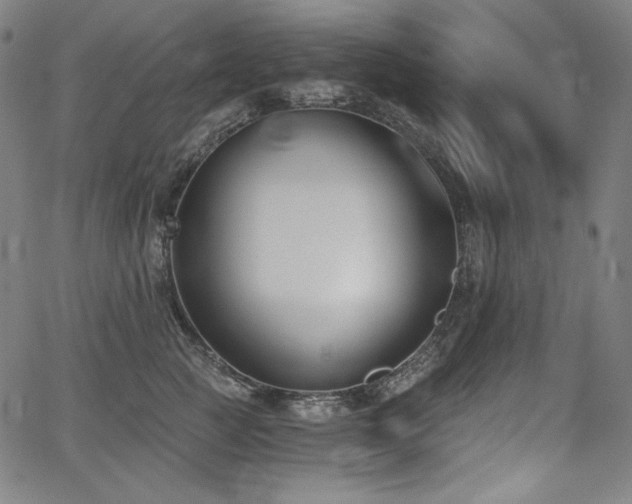 X0000068260761200604211044