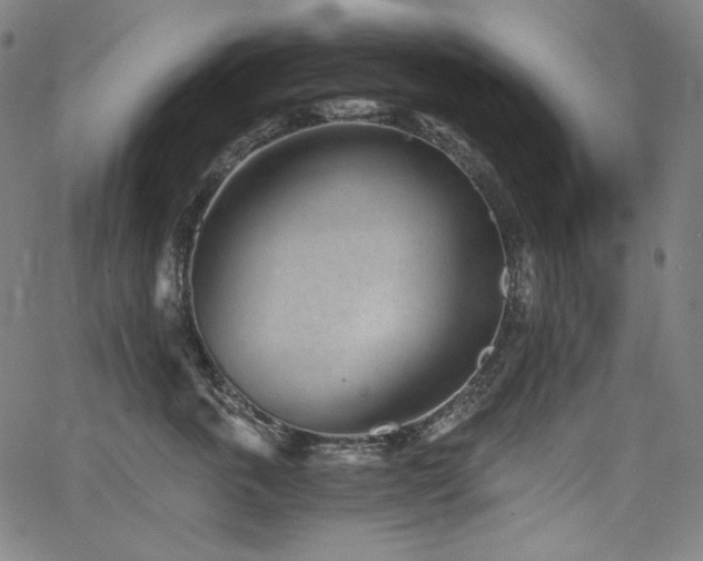 X0000068260763200604211044