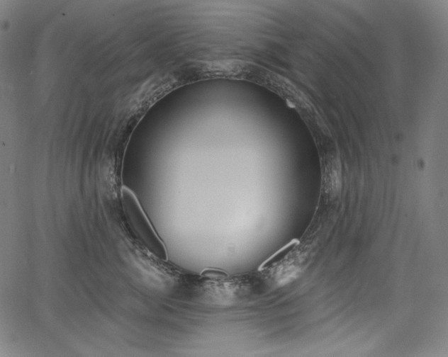 X0000068260764200604211044