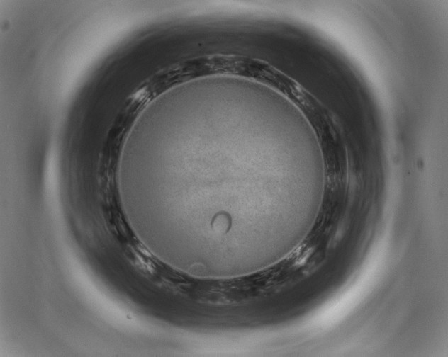 X0000068260765200604211044