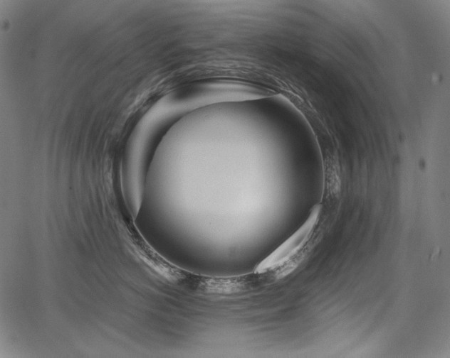 X0000068260766200604211044