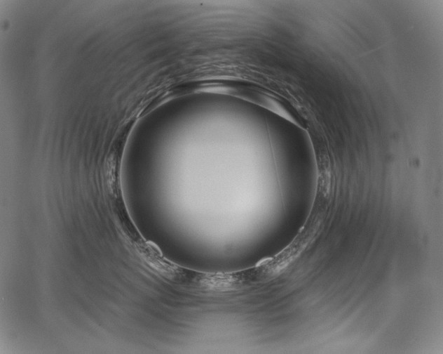 X0000068260767200604211044