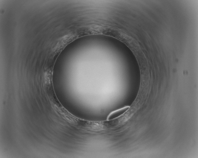 X0000068260768200604211044