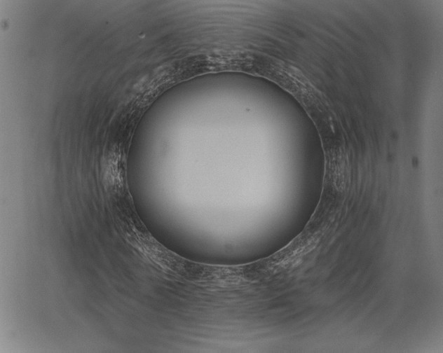 X0000068260770200604211044